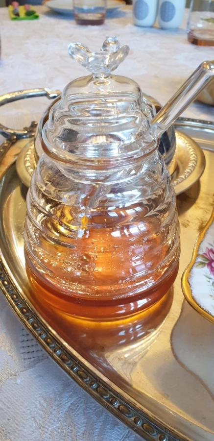 La Tour Noble Bed & Breakfast Saint-Saturnin  Екстериор снимка